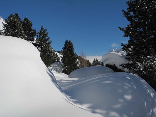 Von Ihrem Hotel zum Schneeschuh- und Winterwandern in Vent Verschneite Landschaft mit Bäumen und Bergen unter klarem blauem Himmel