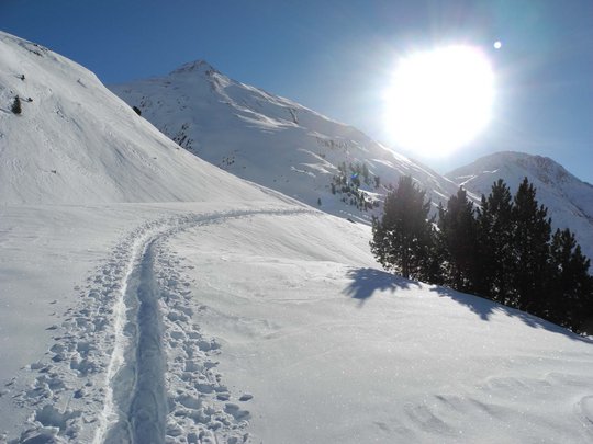 Von Ihrem Hotel zum Schneeschuh- und Winterwandern in Vent Schneebedeckter Pfad mit Tierspuren in den Bergen bei Sonnenschein