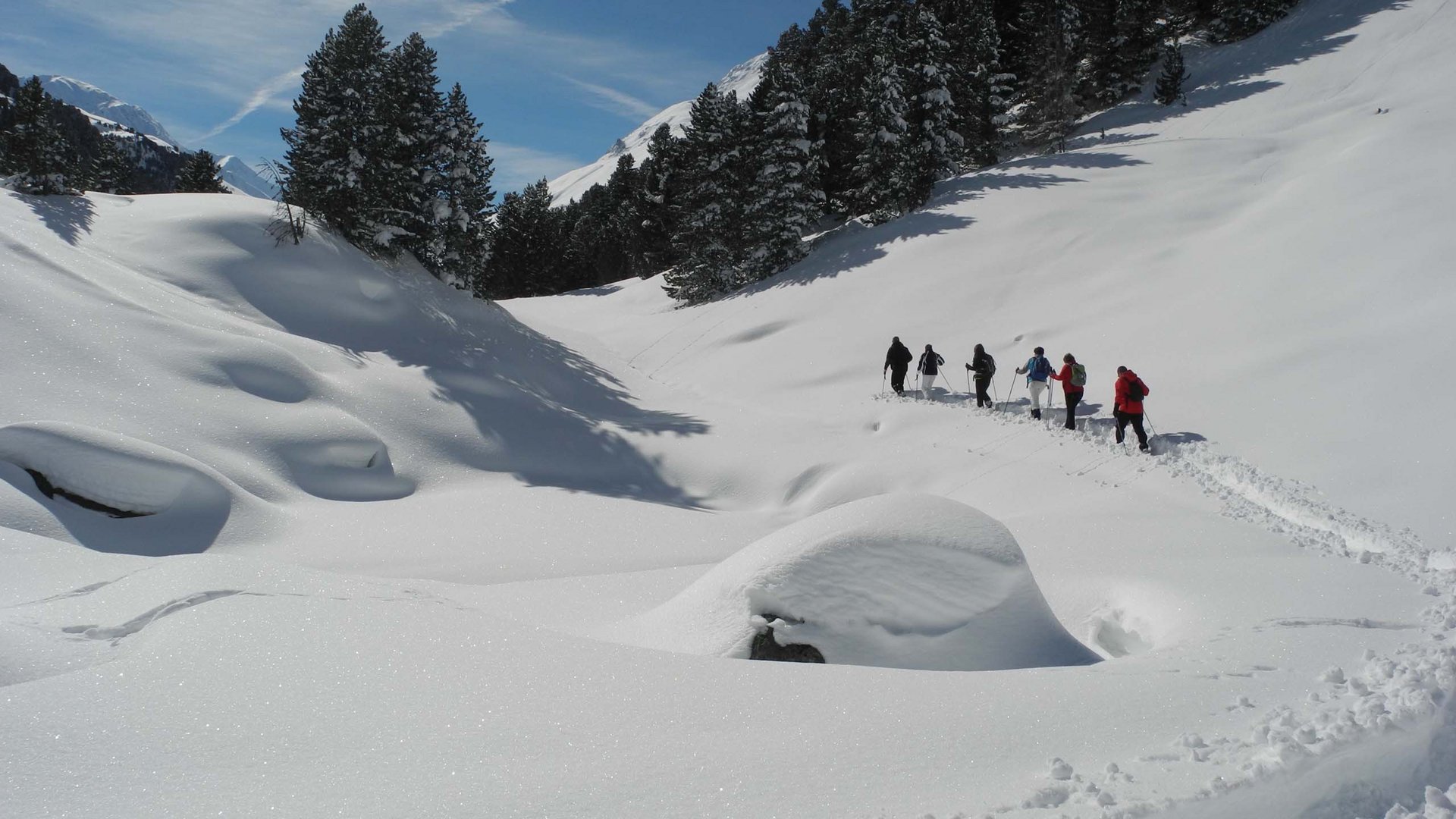Von Ihrem Hotel zum Schneeschuh- und Winterwandern in Vent Gruppe wandert auf schneebedecktem Weg zwischen Bäumen und Bergen