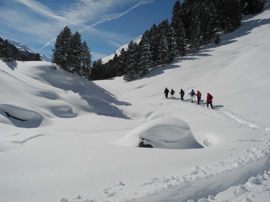 Von Ihrem Hotel zum Schneeschuh- und Winterwandern in Vent Gruppe wandert auf schneebedecktem Weg zwischen Bäumen und Bergen