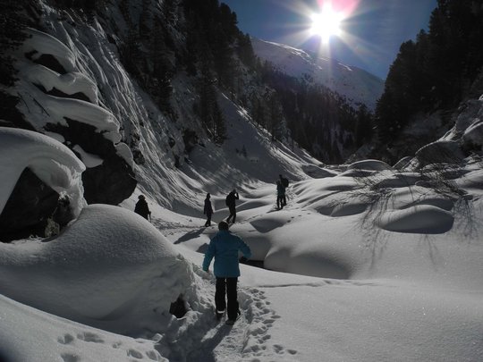 Von Ihrem Hotel zum Schneeschuh- und Winterwandern in Vent Menschen wandern bei Sonnenschein durch verschneites Tal mit Bäumen