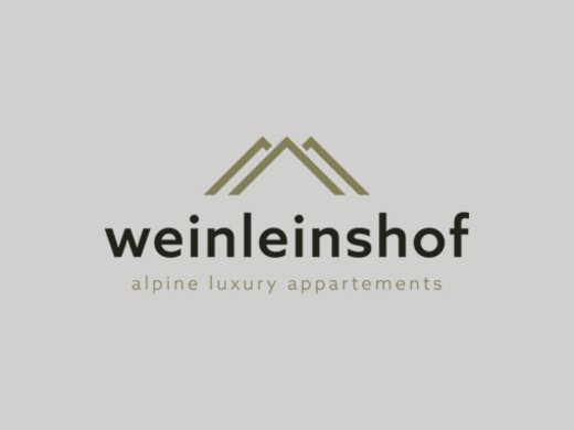 The partners of our Natur- & Alpinhotel Post Logo of weinleinshof alpine luxury apartments with mountain symbol