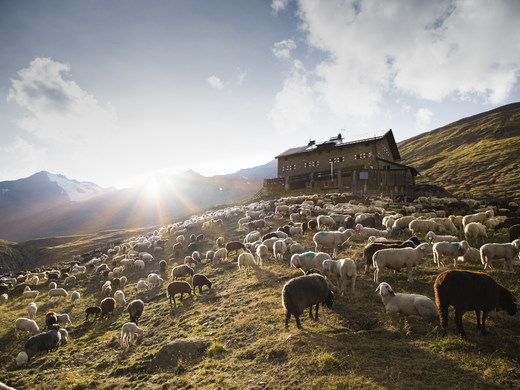 A summer holiday in Ötztal: a paradise for mountain lovers A summer holiday in Ötztal: a paradise for mountain lovers