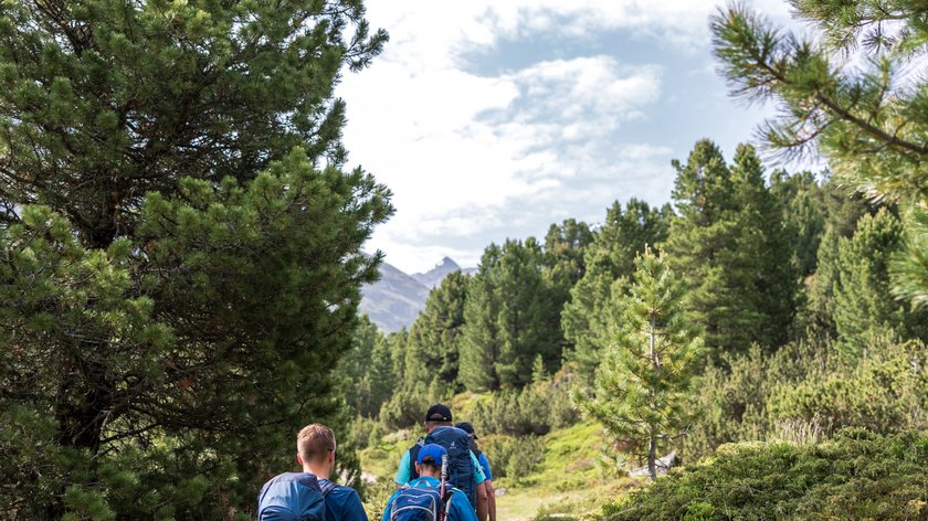 Un chemin à thème fascinant Trois randonneurs sur un sentier forestier avec sacs à dos par temps ensoleillé
