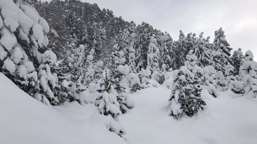 Fin de l’hiver dans l’Ötztal Forêt enneigée avec des sapins couverts de neige en hiver