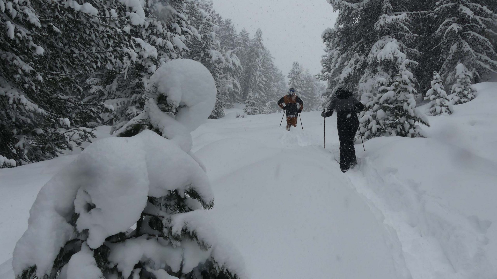 Von Ihrem Hotel zum Schneeschuh- und Winterwandern in Vent Zwei Menschen wandern mit Skistöcken durch tiefen Schnee im verschneiten Wald