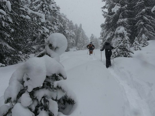 Von Ihrem Hotel zum Schneeschuh- und Winterwandern in Vent Zwei Menschen wandern mit Skistöcken durch tiefen Schnee im verschneiten Wald