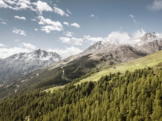 Wandern in den Ötztaler Alpen: von Ihrem Hotel in die Berge Berglandschaft mit Nadelwald und schneebedeckten Gipfeln unter blauem Himmel